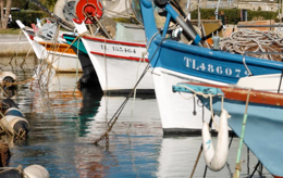 Le port de Carqueiranne, Gite rural Hyeres, Var